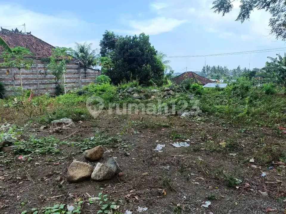 Tanah Premium Area Villa Jalan Kaki Ke Pantai Lovina