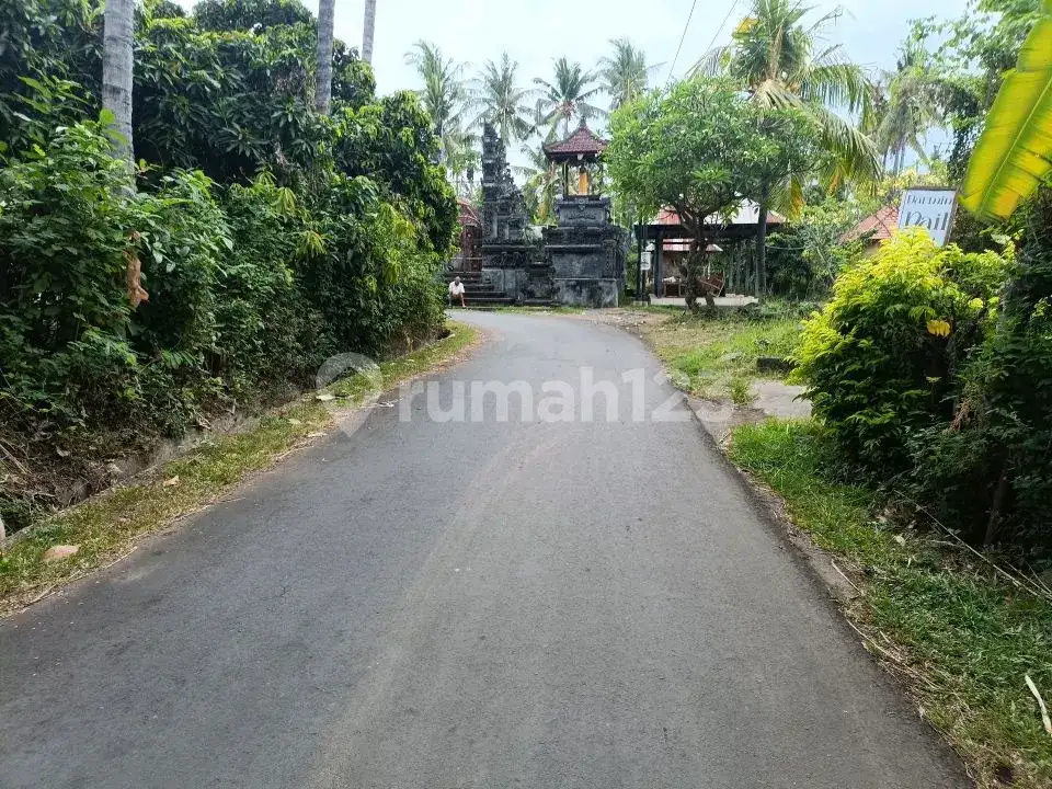Tanah Premium Freehold Dekat Central Lovina Area Villa