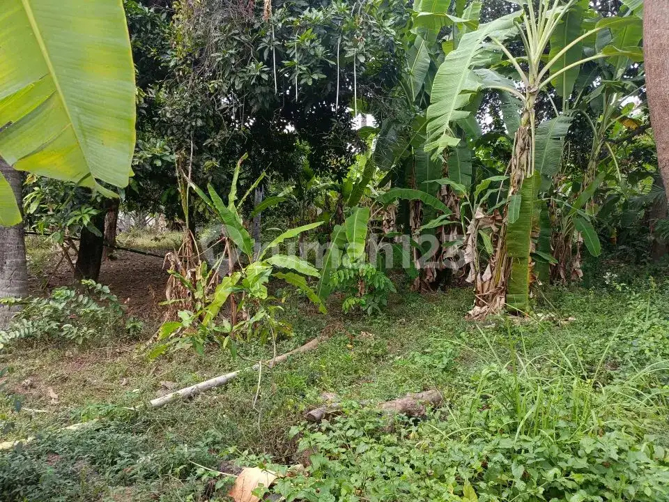 Tanah Premium Freehold Dekat Central Lovina Area Villa
