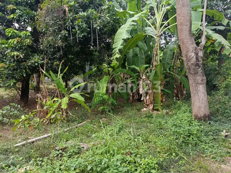 Tanah Premium Freehold Dekat Central Lovina Area Villa