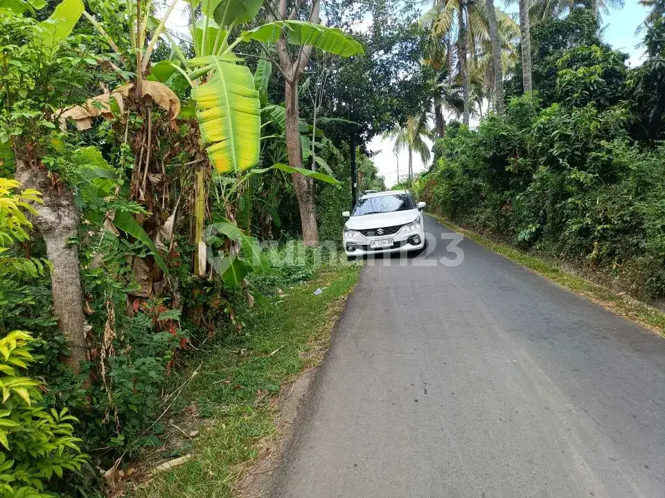 Tanah Premium Freehold Dekat Central Lovina Area Villa
