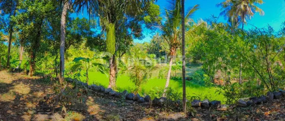 Villa 4 Kamar Dengan View Sawah Dan Sungai Di Seririt Bali Utara