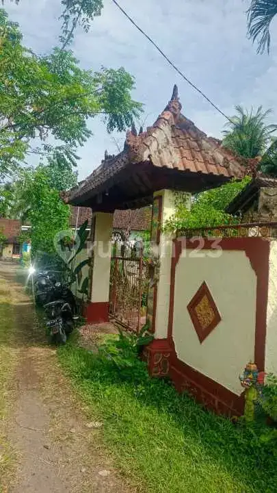 Rumah Lokal Di Pusat Lovina Dekat Ke Mana-Mana