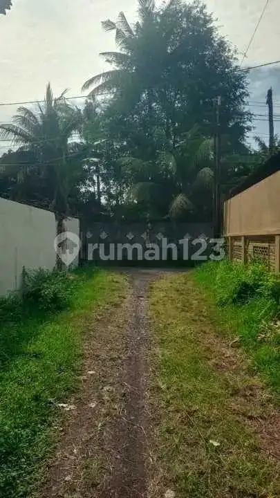 Rumah Lokal Di Pusat Lovina Dekat Ke Mana-Mana