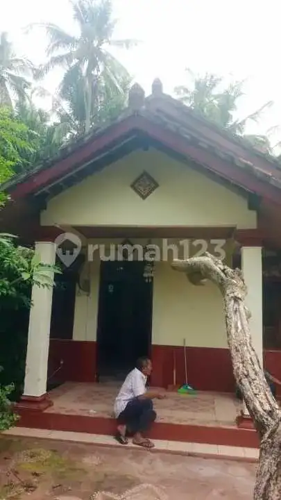 Rumah Lokal Di Pusat Lovina Dekat Ke Mana-Mana