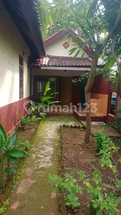 Rumah Lokal Di Pusat Lovina Dekat Ke Mana-Mana