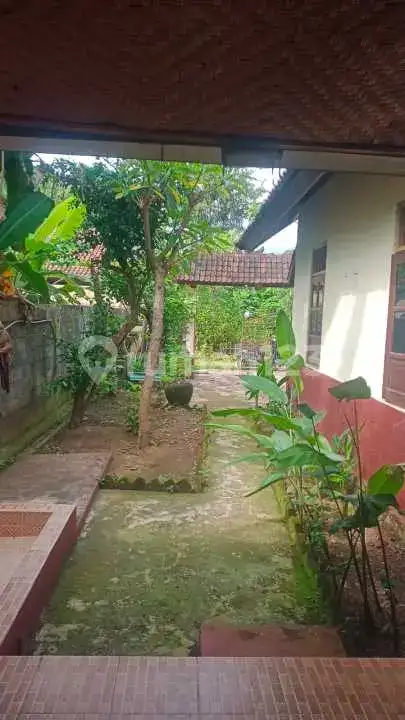 Rumah Lokal Di Pusat Lovina Dekat Ke Mana-Mana