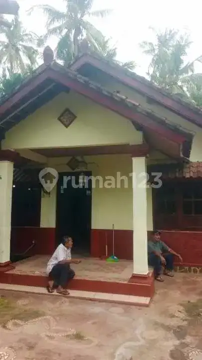 Rumah Lokal Di Pusat Lovina Dekat Ke Mana-Mana