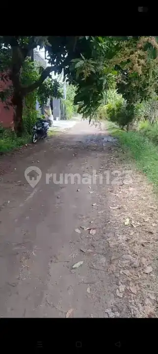 Tanah Premium 14 Are Dekat Pantai Dan Sawah Di Pusat Lovina