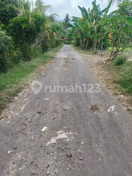 Tanah Premium 14 Are Dekat Pantai Dan Sawah Di Pusat Lovina