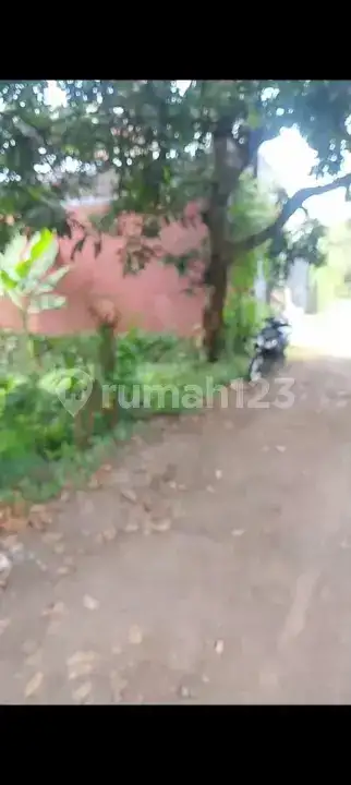 Tanah Premium 14 Are Dekat Pantai Dan Sawah Di Pusat Lovina