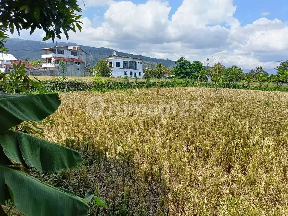 Tanah Premium 14 Are Dekat Pantai Dan Sawah Di Pusat Lovina