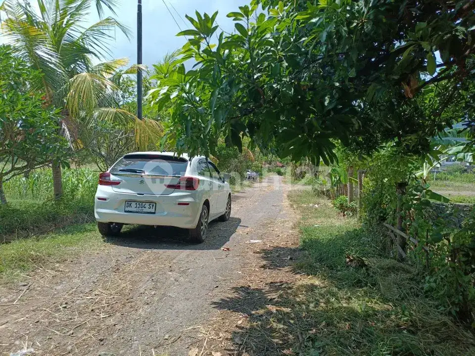 Tanah Premium 14 Are Dekat Pantai Dan Sawah Di Pusat Lovina