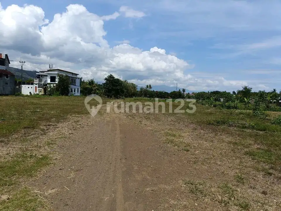 Tanah Premium 14 Are Dekat Pantai Dan Sawah Di Pusat Lovina