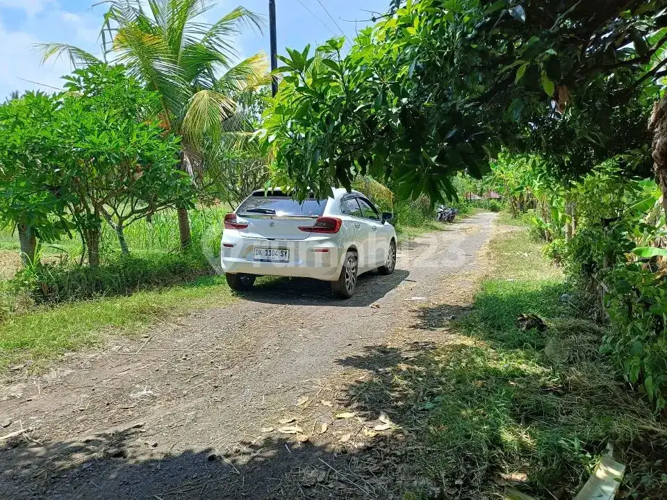Tanah Premium 14 Are Dekat Pantai Dan Sawah Di Pusat Lovina
