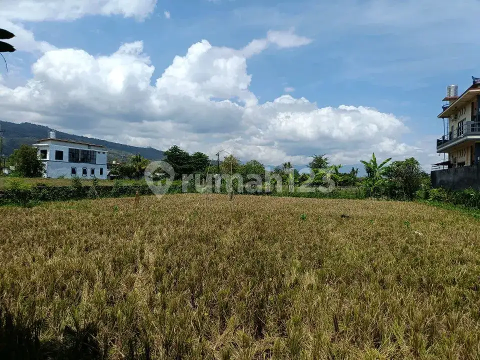 Tanah Premium 14 Are Dekat Pantai Dan Sawah Di Pusat Lovina