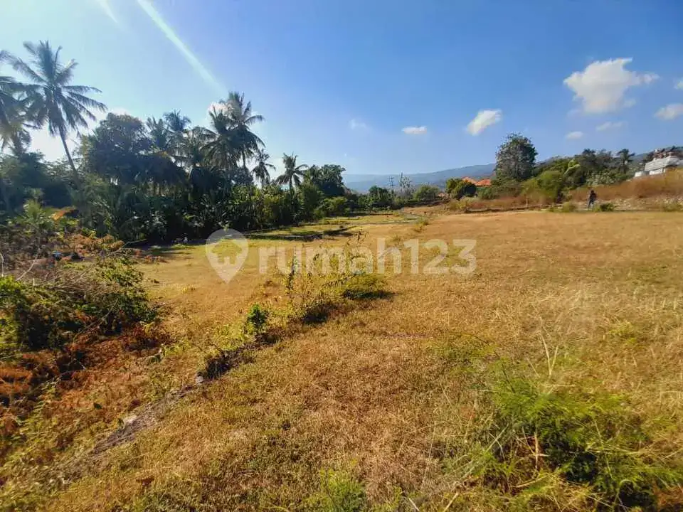 Tanah View Gunung Close To Central Lovina