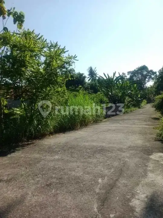 Tanah View Gunung Close To Central Lovina