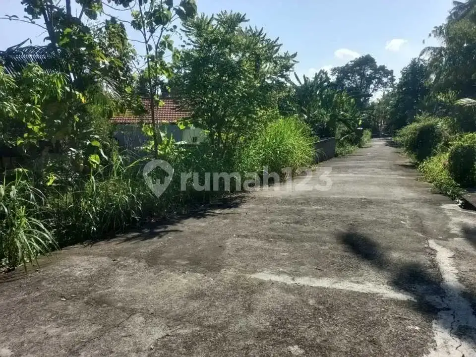 Tanah View Gunung Close To Central Lovina