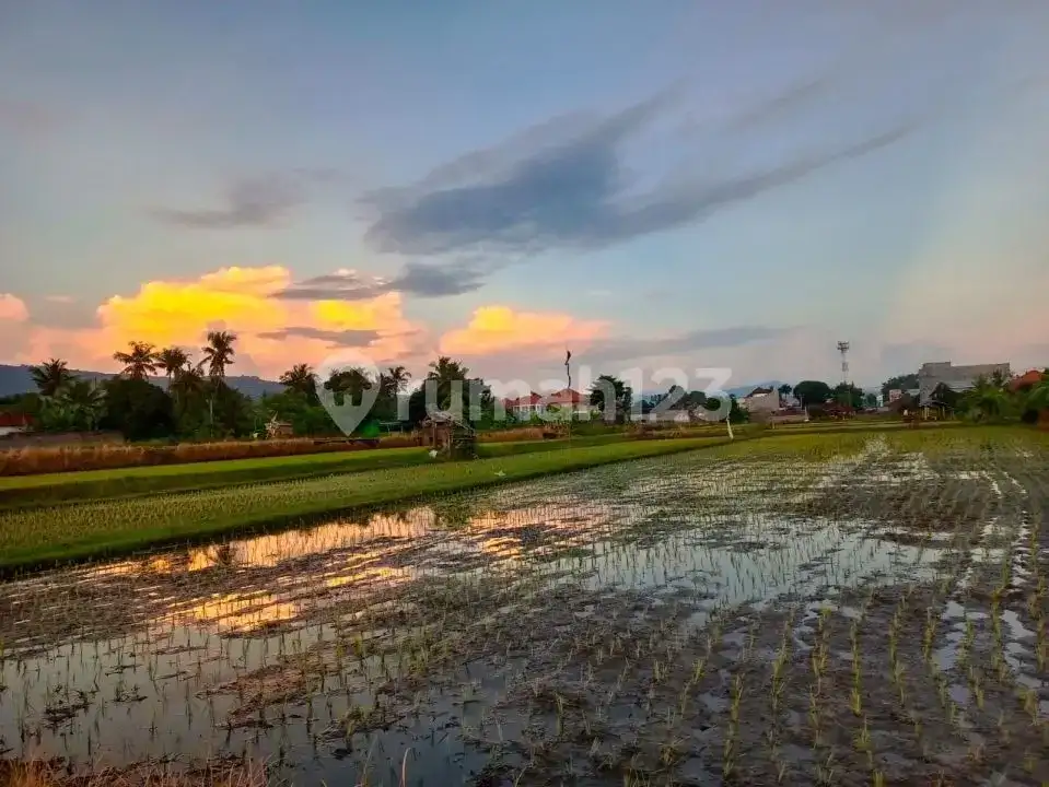 Tanah Dengan Pemandangan Sawah Dan Gunung Cocok Untuk Villa Dan Investasi