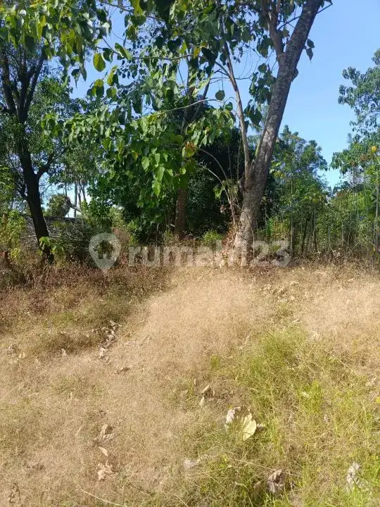 Tanah 20 Are Bertembok Hanya 20 Meter Dari Pantai Di Kawasan Villa Tulamben