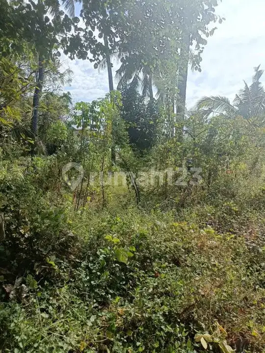 Tanah 20 Are Bertembok Hanya 20 Meter Dari Pantai Di Kawasan Villa Tulamben