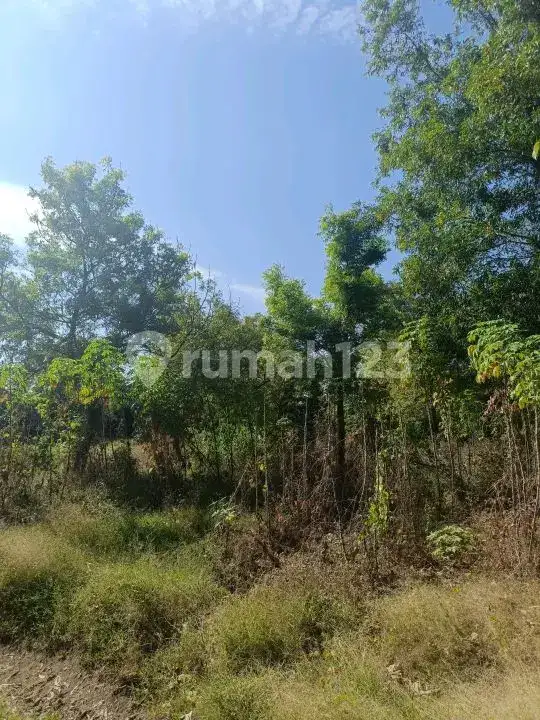 Tanah 20 Are Bertembok Hanya 20 Meter Dari Pantai Di Kawasan Villa Tulamben