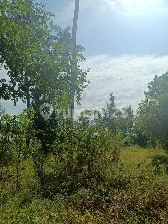 Tanah 20 Are Bertembok Hanya 20 Meter Dari Pantai Di Kawasan Villa Tulamben