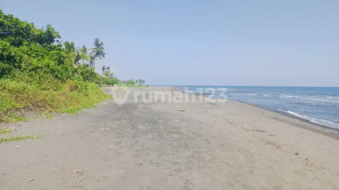 Villa Tepi Pantai Di Kawasan Lovina Dengan Lahan 7 Are