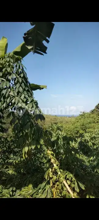 Tanah View Gunung, Pantai, dan Alam di Tumbu Karangasem Bali