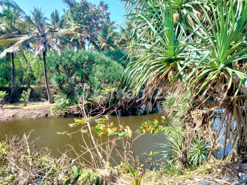 Tanah Pinggir Pantai di Seraya Karangasem Bali
