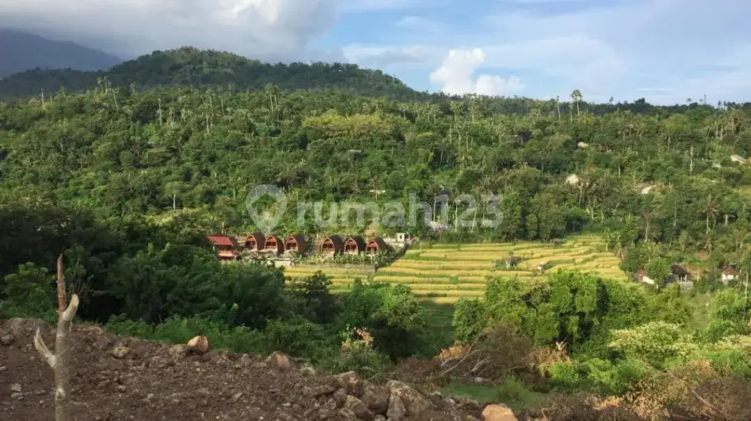 Tanah Murah View Sawah dan Laut di Tumbu Karangasem Bali