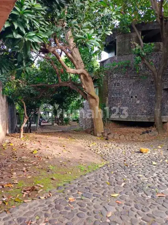 Tanah Beachfront Bonus Bangunan di Lovina Buleleng Bali