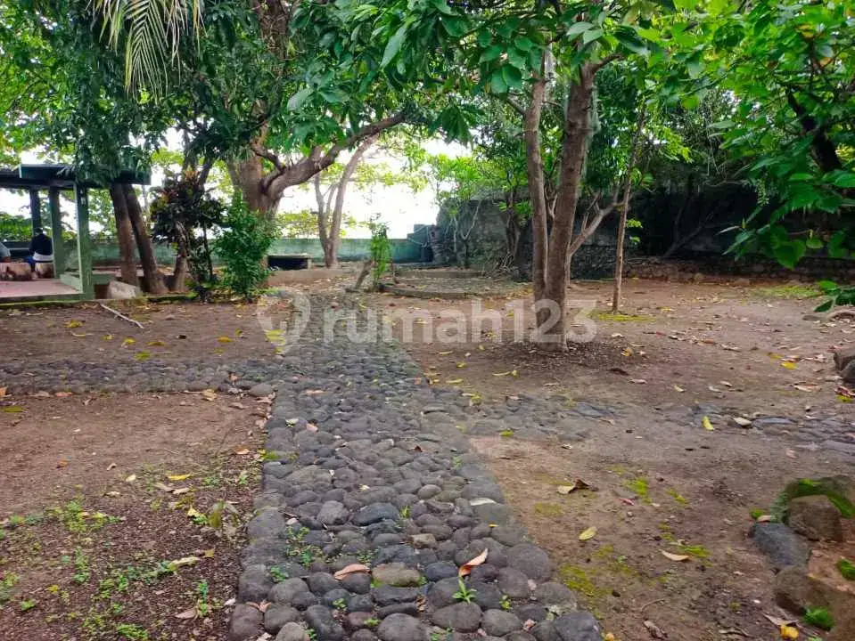 Tanah Beachfront Bonus Bangunan di Lovina Buleleng Bali