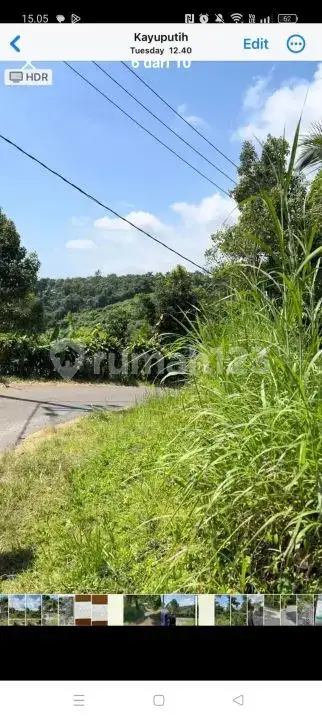 Tanah View Laut Fantastis di Perbukitan Lovina Buleleng Bali