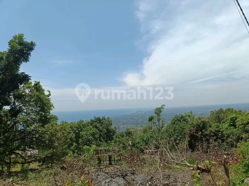 Tanah View Laut di Jalan Aspal Dekat Pantai Lovina Tigawasa Buleleng Bali
