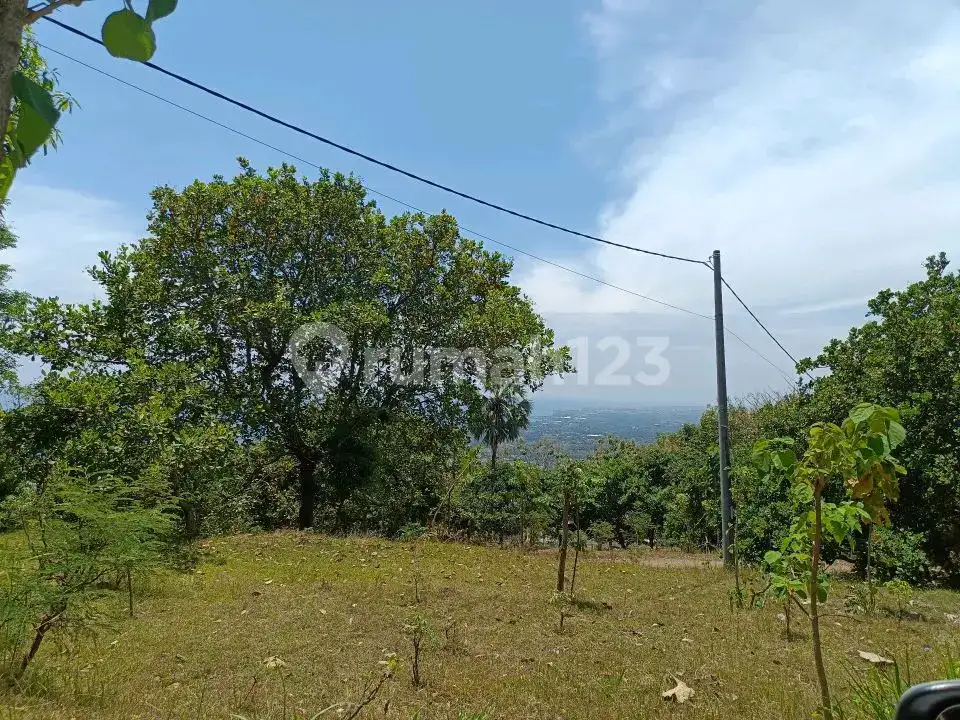 Tanah View Laut di Jalan Aspal Dekat Pantai Lovina Tigawasa Buleleng Bali