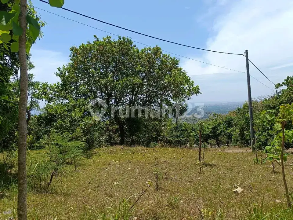 Tanah View Laut di Jalan Aspal Dekat Pantai Lovina Tigawasa Buleleng Bali