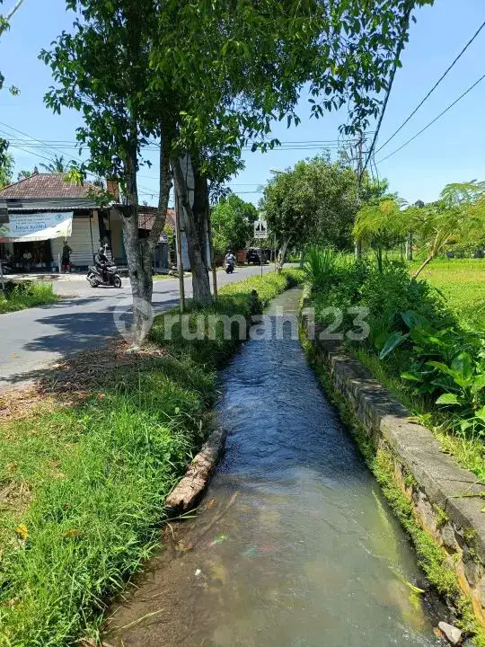 Tanah Premium di Jalan Aspal Dekat Taman Ujung Karangasem Bali