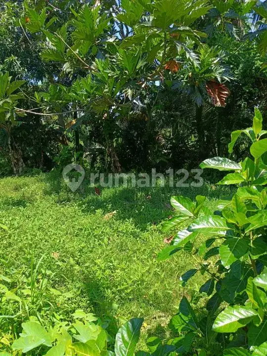 Tanah Premium di Jalan Aspal Dekat Taman Ujung Karangasem Bali