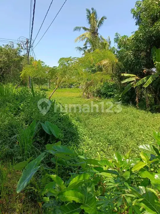 Tanah Premium di Jalan Aspal Dekat Taman Ujung Karangasem Bali