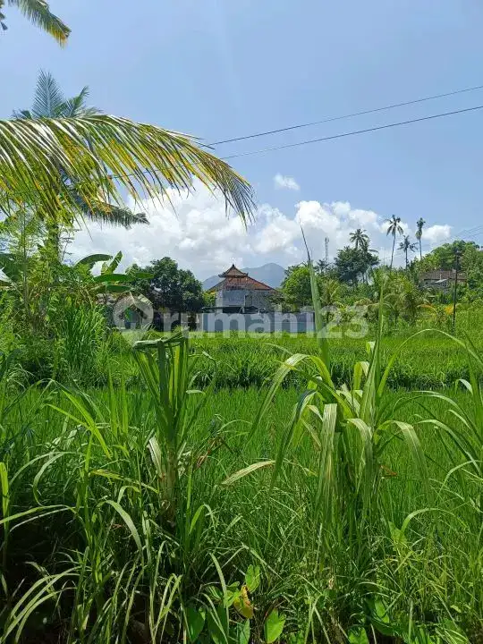 Tanah Premium di Jalan Aspal Dekat Taman Ujung Karangasem Bali
