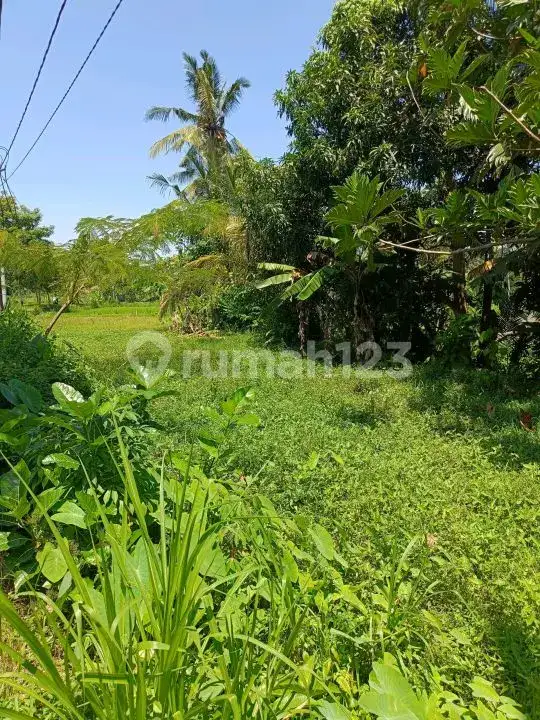 Tanah Premium di Jalan Aspal Dekat Taman Ujung Karangasem Bali