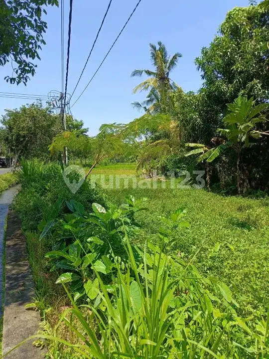 Tanah Premium di Jalan Aspal Dekat Taman Ujung Karangasem Bali