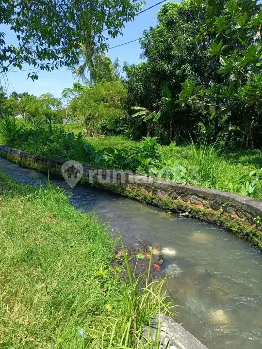 Tanah Premium di Jalan Aspal Dekat Taman Ujung Karangasem Bali