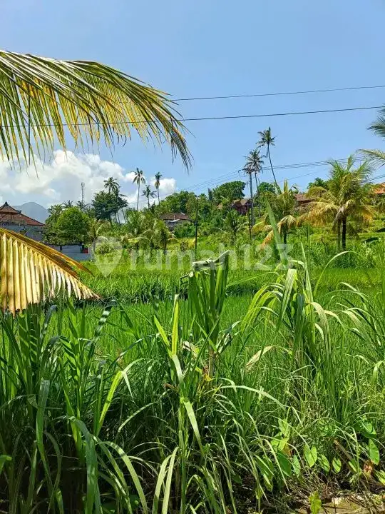 Tanah Premium di Jalan Aspal Dekat Taman Ujung Karangasem Bali