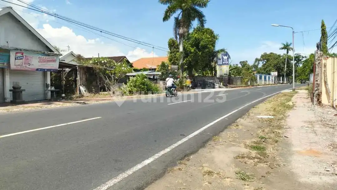 Tanah Beachfront Dekat Pusat Lovina Buleleng Bali