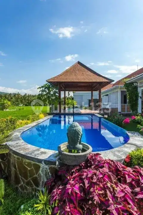 Villa Mewah 3 Kamar Tidur dengan View Indah Dekat Pusat Lovina Bali