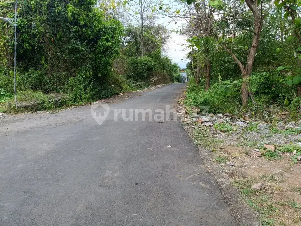 Tanah 3 Menit ke Pusat Lovina Buleleng Bali
