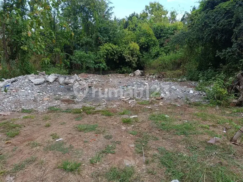Tanah 3 Menit ke Pusat Lovina Buleleng Bali